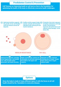 Prediabetes Chart 3