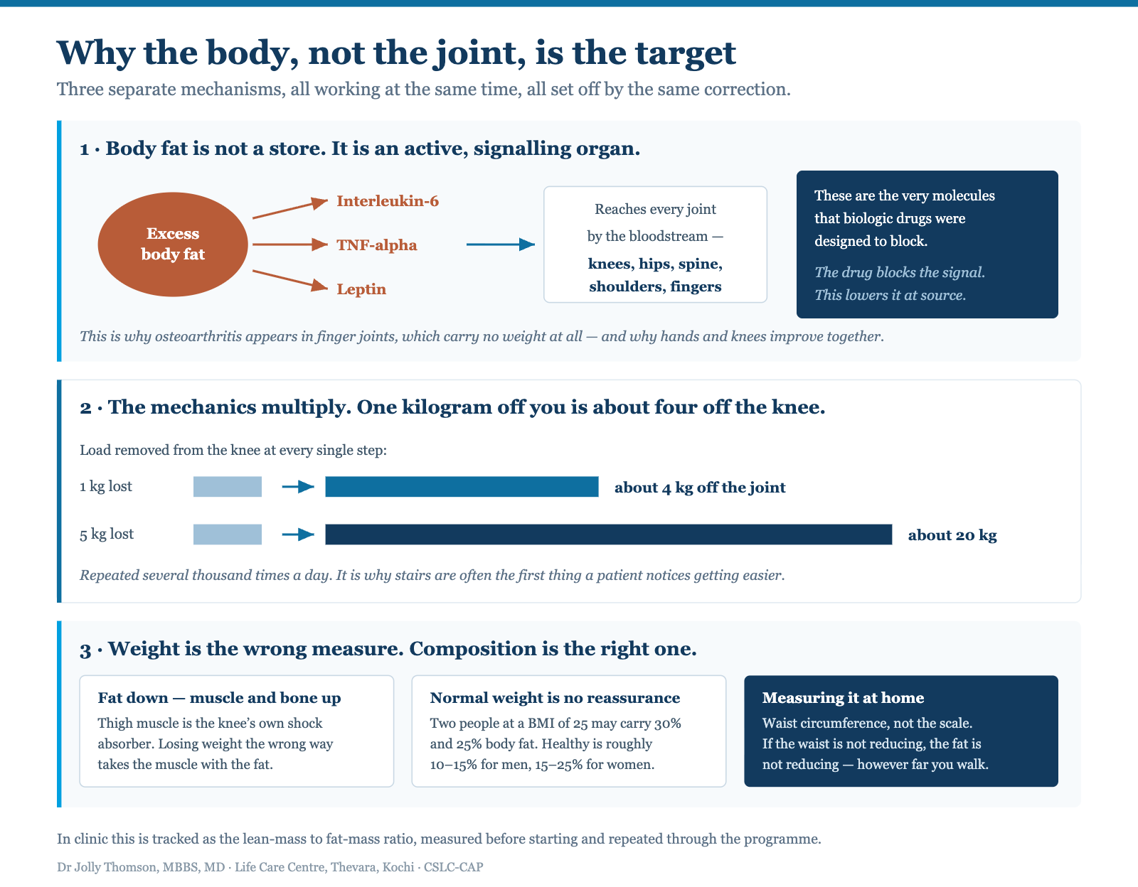 Diagram showing why the body rather than the joint is the target — excess fat releasing IL-6, TNF-alpha and leptin which inflame joints throughout the body including non-weight-bearing hand joints; one kilogram of weight loss removing about four kilograms of load from the knee at every step; and thigh muscle acting as the knee's shock absorber