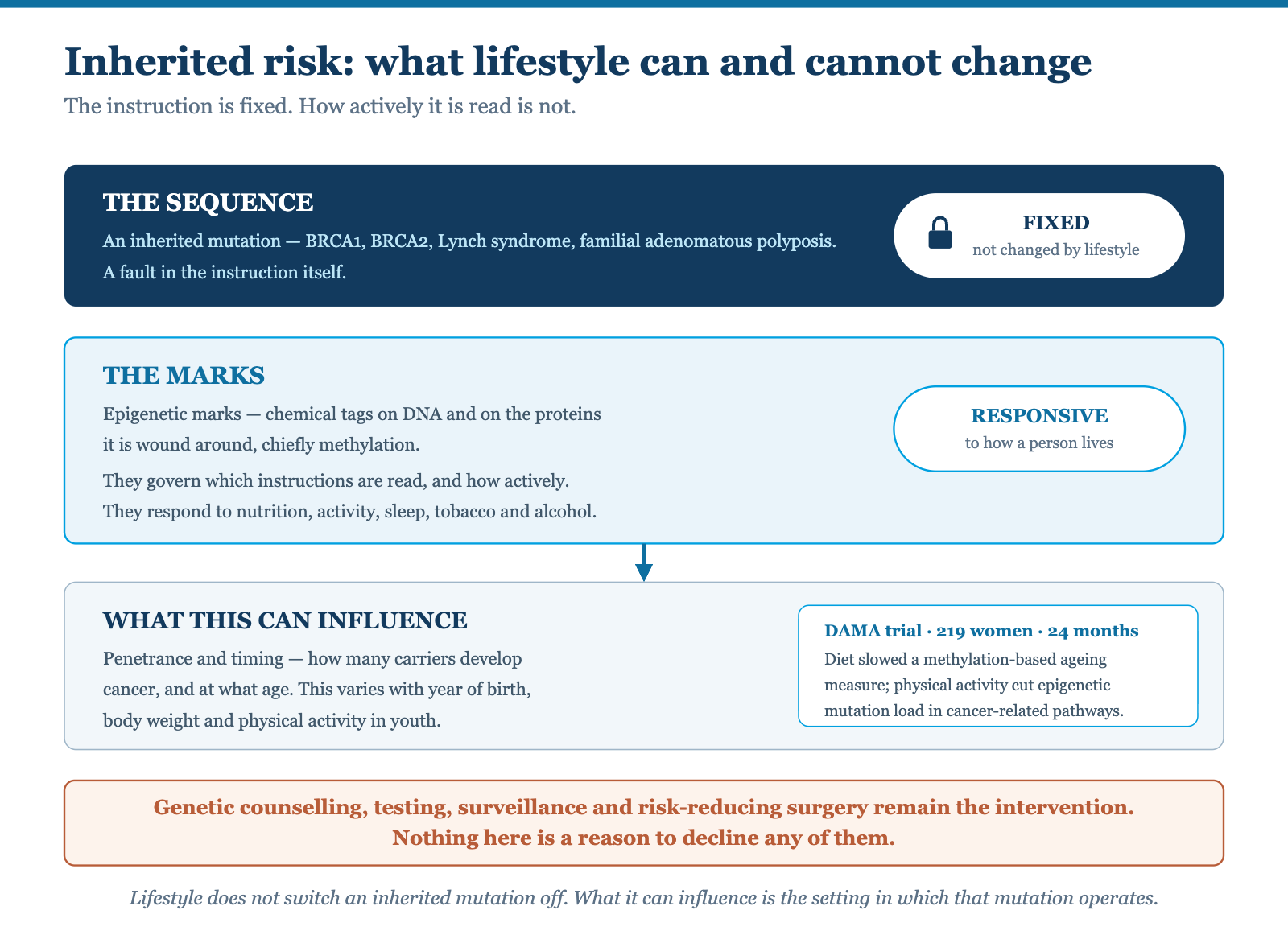 Diagram showing that an inherited mutation in the DNA sequence is fixed and unchanged by lifestyle, while epigenetic marks respond to how a person lives and can influence penetrance and timing, with surveillance and risk-reducing surgery remaining the intervention
