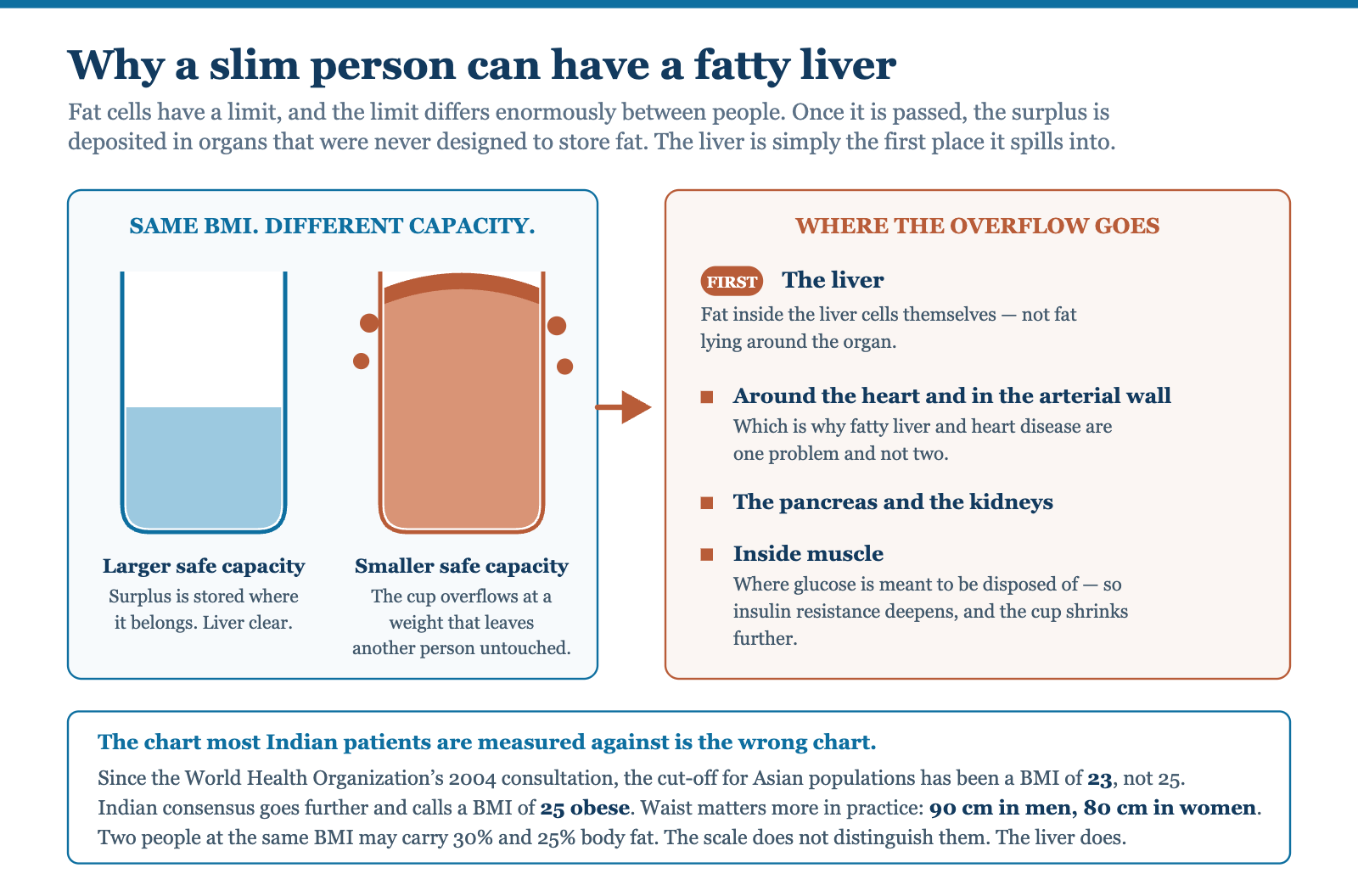 Diagram of two people at the same body mass index with different safe fat-storage capacity, the smaller one overflowing into the liver, heart, pancreas, kidneys and muscle, with Indian body mass index and waist thresholds