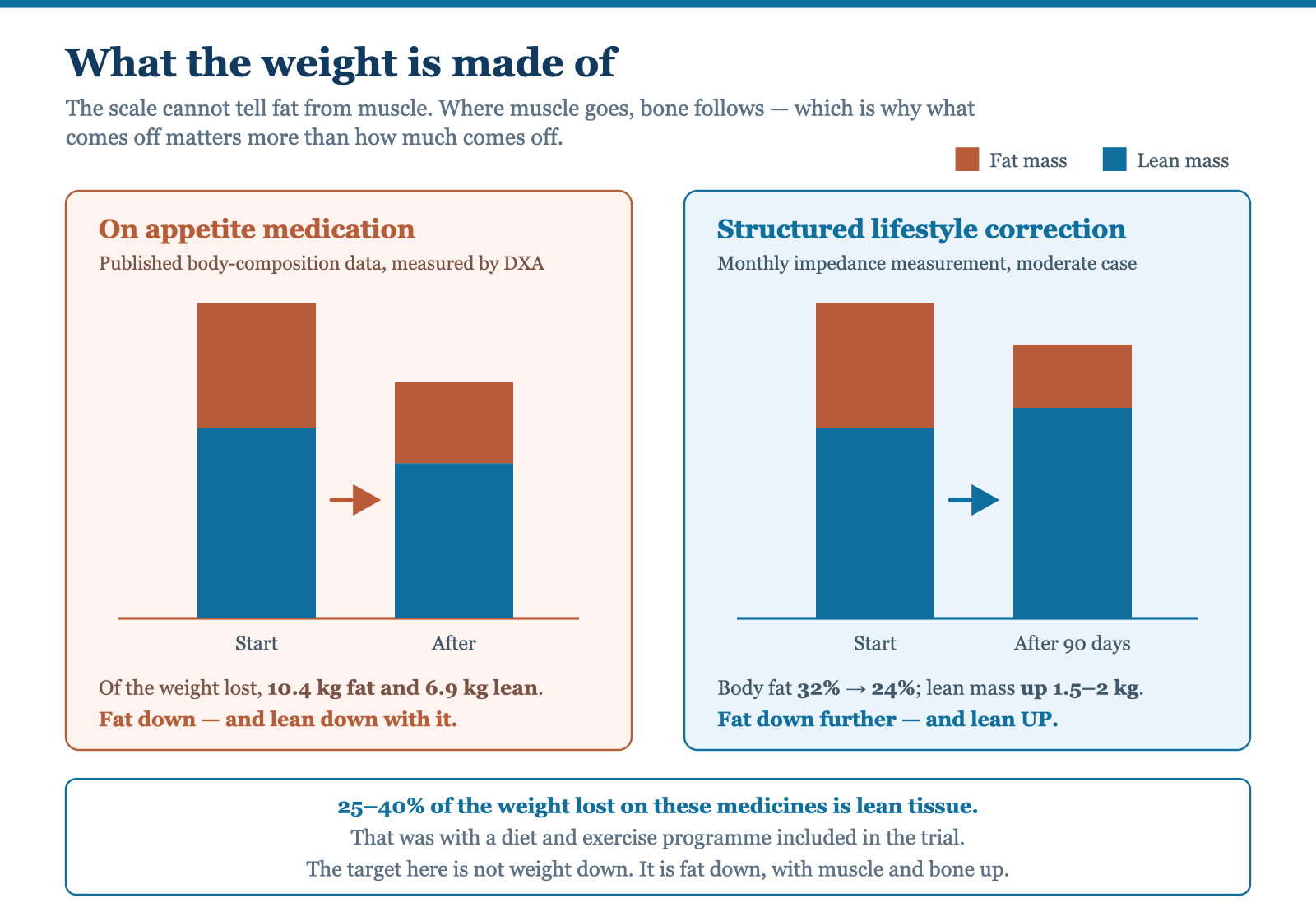 Comparison of what weight loss is composed of: on appetite medication, roughly 60% fat and 40% lean tissue is lost together; under structured lifestyle correction, fat mass falls while lean mass rises.