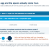 Timeline showing that the egg and the sperm are built out of the parents' germ cells during the three months before conception.