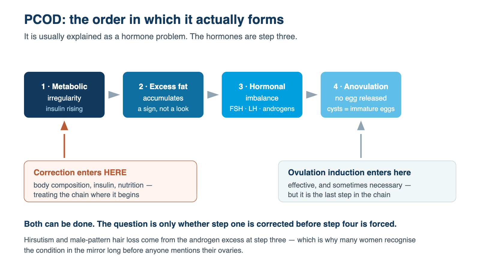 The order in which PCOD forms: excess fat and raised insulin first, hormonal disturbance third.