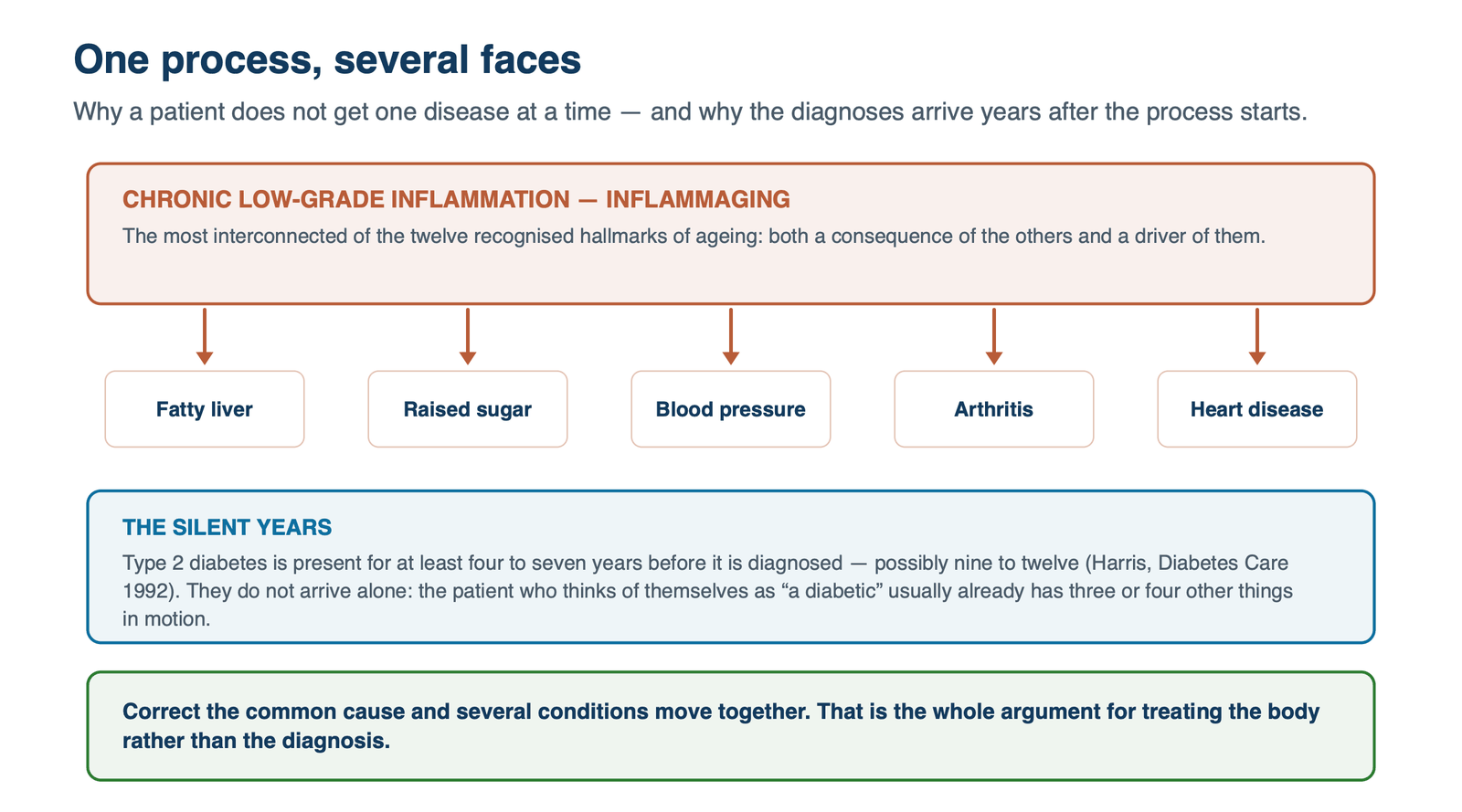 Diagram showing chronic low-grade inflammation as a single cause branching into fatty liver, raised sugar, blood pressure, arthritis and heart disease, with a note that these are commonly present seven to ten years before diagnosis.