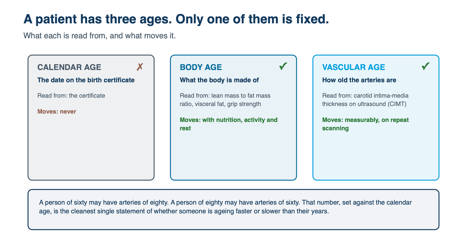 Three panels: calendar age, which cannot change; body age, read from the lean mass to fat mass ratio; and vascular age, measured by carotid intima-media thickness. Two of the three move.