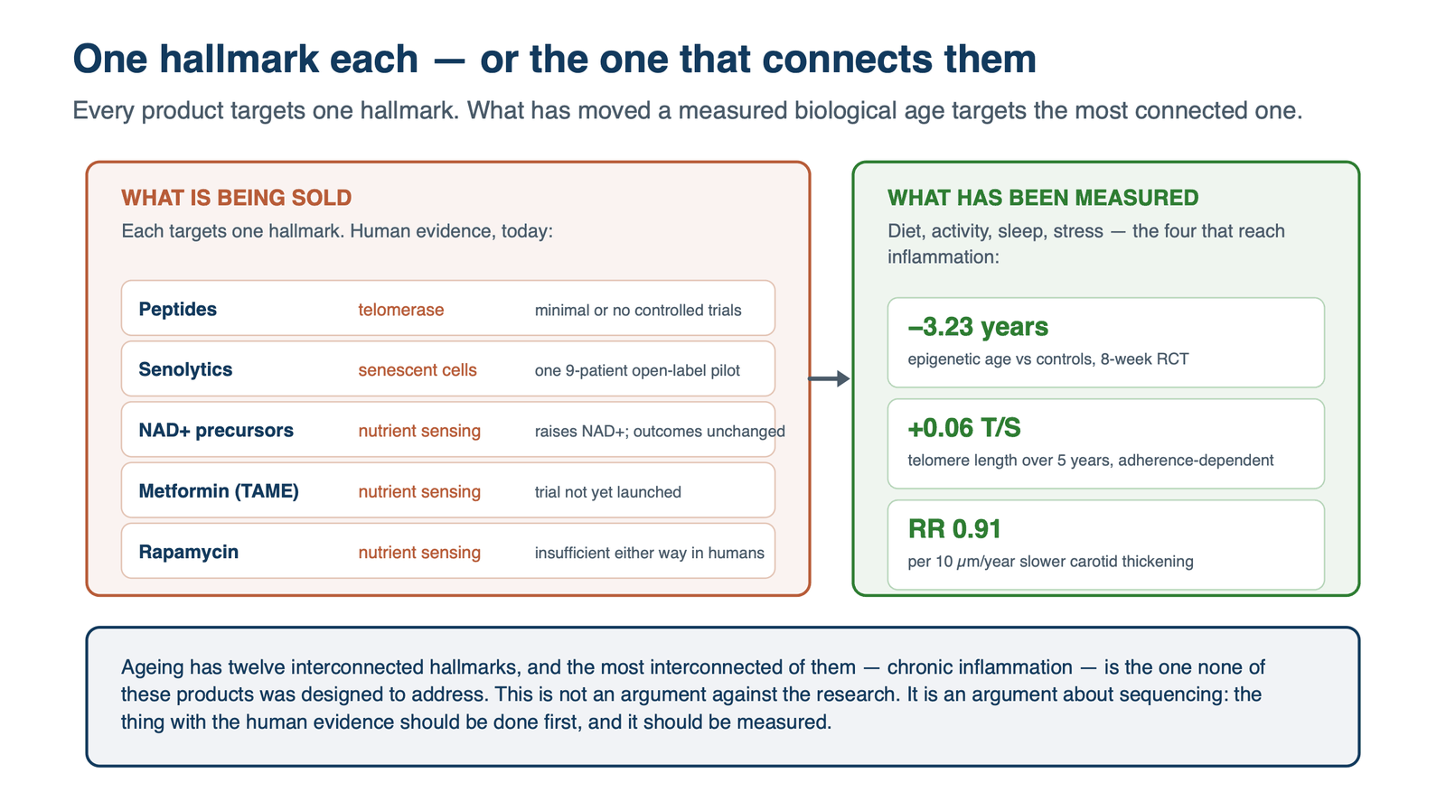 Comparison of the anti-ageing products on the market, each targeting a single hallmark with little human evidence, against diet, activity, sleep and stress, which have measured reductions in epigenetic age, telomere length and carotid thickening.