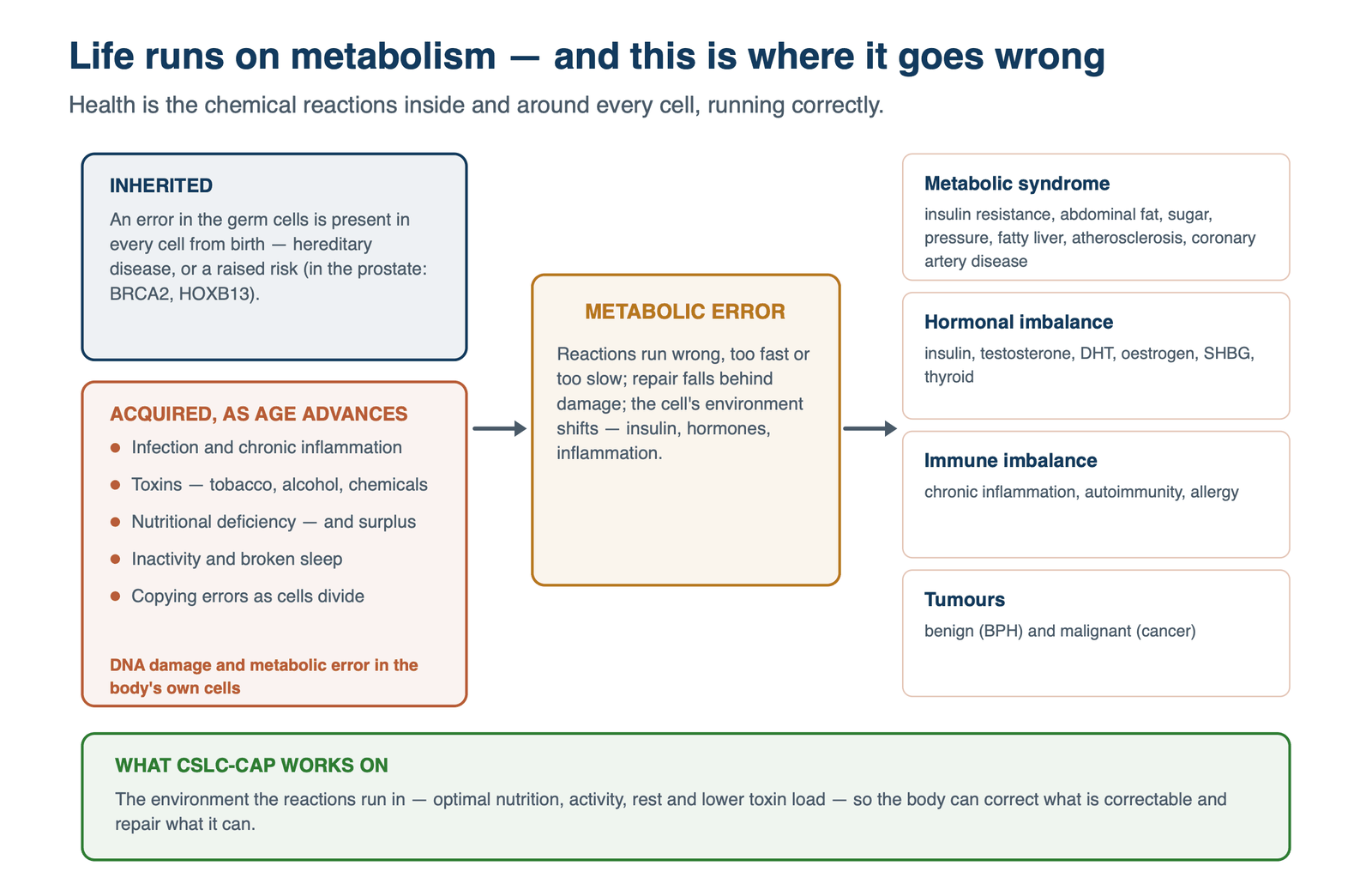 Inherited errors and acquired ones — infection, toxins, nutritional deficiency and surplus, inactivity, broken sleep, copying errors — lead to metabolic error, which shows as metabolic syndrome (including atherosclerosis and coronary artery disease), hormonal imbalance, immune imbalance and tumours. CSLC-CAP works on the environment the reactions run in.