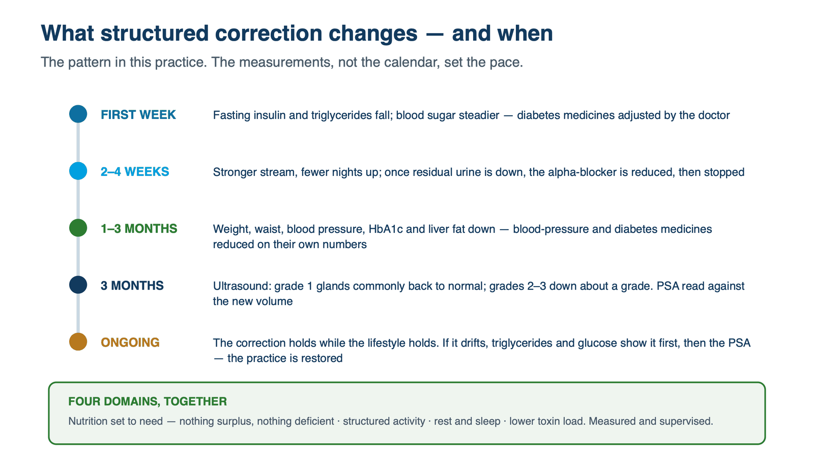 Timeline: first week insulin and triglycerides fall; two to four weeks a stronger stream and the alpha-blocker reduced; one to three months weight, HbA1c and liver fat down; three months ultrasound shows the gland smaller; ongoing, the correction holds while the lifestyle holds.