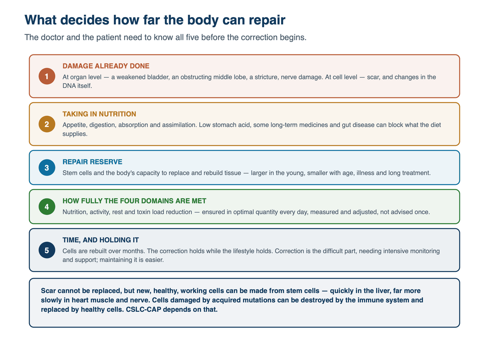 Five factors that decide how far the body can repair: damage already done, taking in nutrition, the repair reserve, how fully the four domains are met, and time. Scar cannot be replaced, but new healthy cells can be made from stem cells, and the immune system removes cells with acquired mutations.